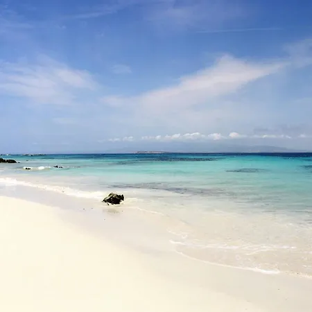 Danae - Sea View *